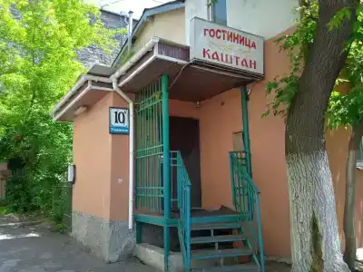 Каштан - 19