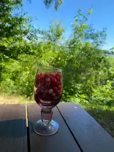 ГаммаСофт - 25