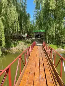 Тихая гавань - 0