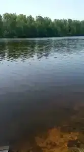 Веселый Роджер - 5