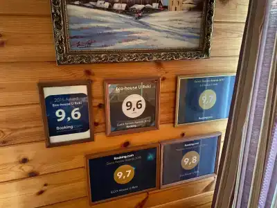 Эко-дом у реки - 10