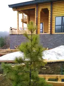 Сухов ключ - 11