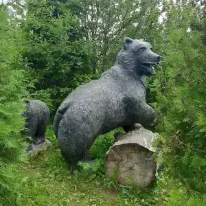 Медвежий угол - 19