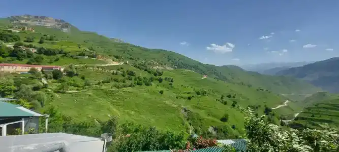 у тёти Ханий - 21