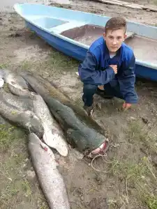 Сазаний угол - 30