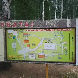 Берёзка - 13