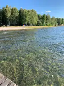 Солнечная поляна - 5
