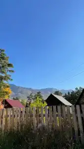 Капибара - 28