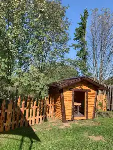 У Борисыча - 37