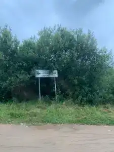 Королевская охота - 53