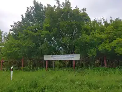 Солнечный берег - 0