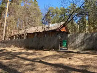 Серебряное копытце - 9