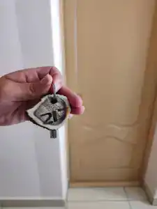 Беловежская пуща. №2 - 71