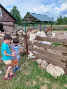 Лошадкино - 19