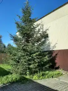 Комфорт - 3