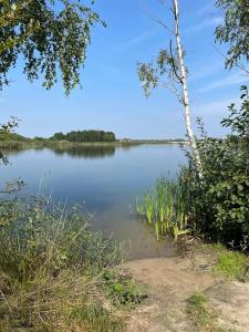 ЭкоОстров - 42