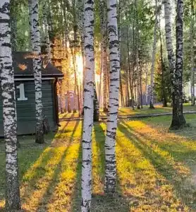 Уютный домик в Елдино - 1