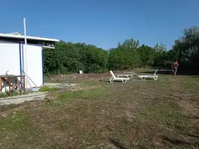 Сказочный лес - 18