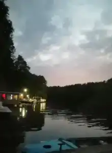 Зелёная роща - 63