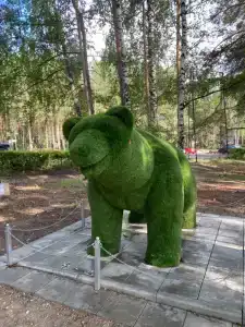 Звезда - 11