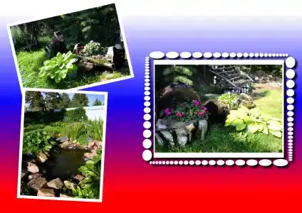 Моховое - 37