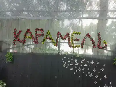Карамель - 4