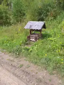 Потапыч - 10