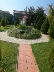 Эдельвейс - 0