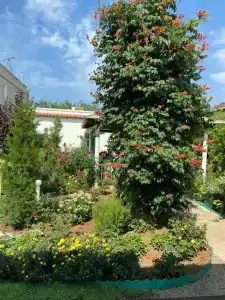 Manor Beach Kazantip - 8