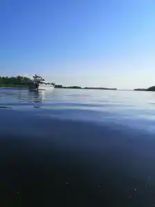 Иволга - 7