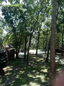 Гринвилль - 44