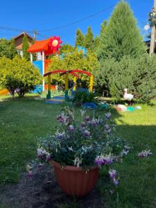 Гостевой дом Элиза Заркау - 56