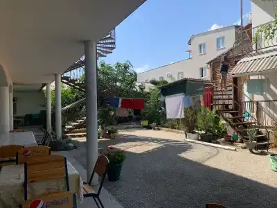 Амир-Дани - 31