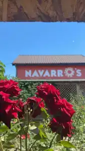 Navarros standart - 12
