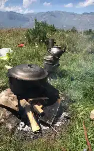 Истоки - 7