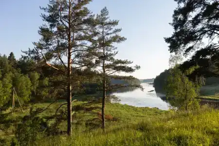 Terve Ranta - 47