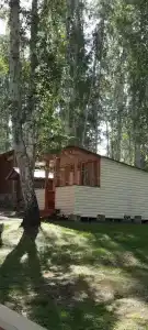 Берёзка - 68