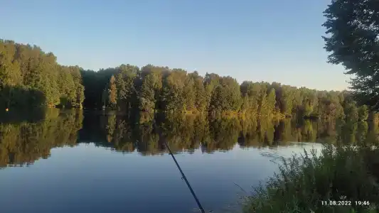 Веселый Роджер - 23