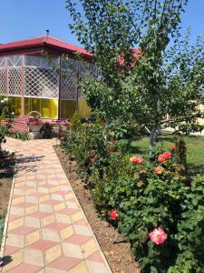 Простоквашино на Азове - 89