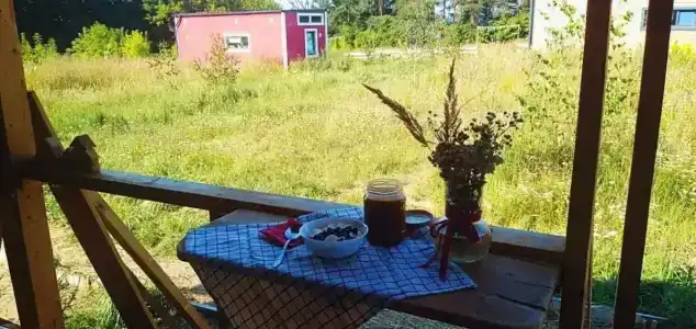 Смородина - 63