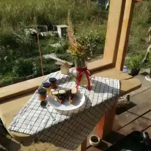 Смородина - 73