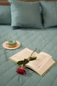 Заречная - 62