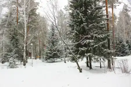 Гренада - 39