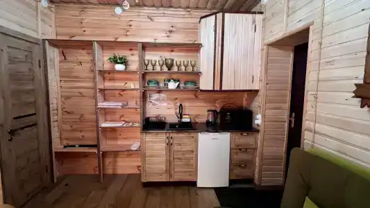 Багира - 11
