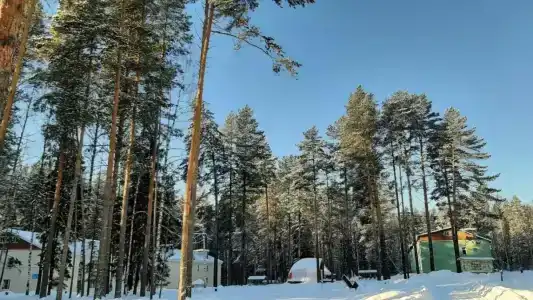 Селычка - 51