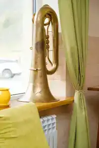 Марал - 20