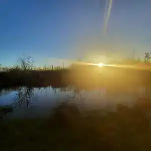 Раздобарино - 48