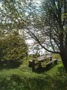 Сказочный берег - 64