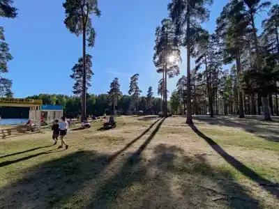 Беседки на Коркинском озере - 2