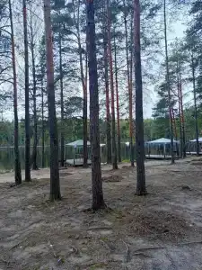 Беседки на Коркинском озере - 55